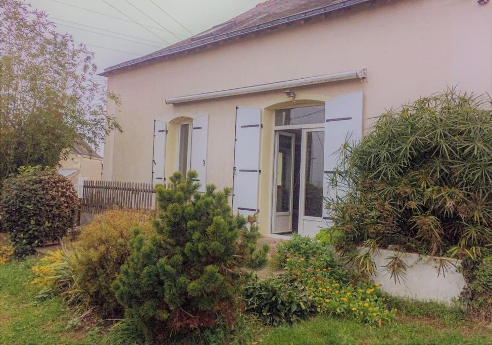Un Gite Au Coeur Du Vignoble Chalonnes-sur-Loire Ngoại thất bức ảnh