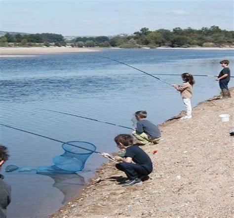 Un Gite Au Coeur Du Vignoble Chalonnes-sur-Loire Ngoại thất bức ảnh